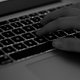 Imagen: Shutterstock